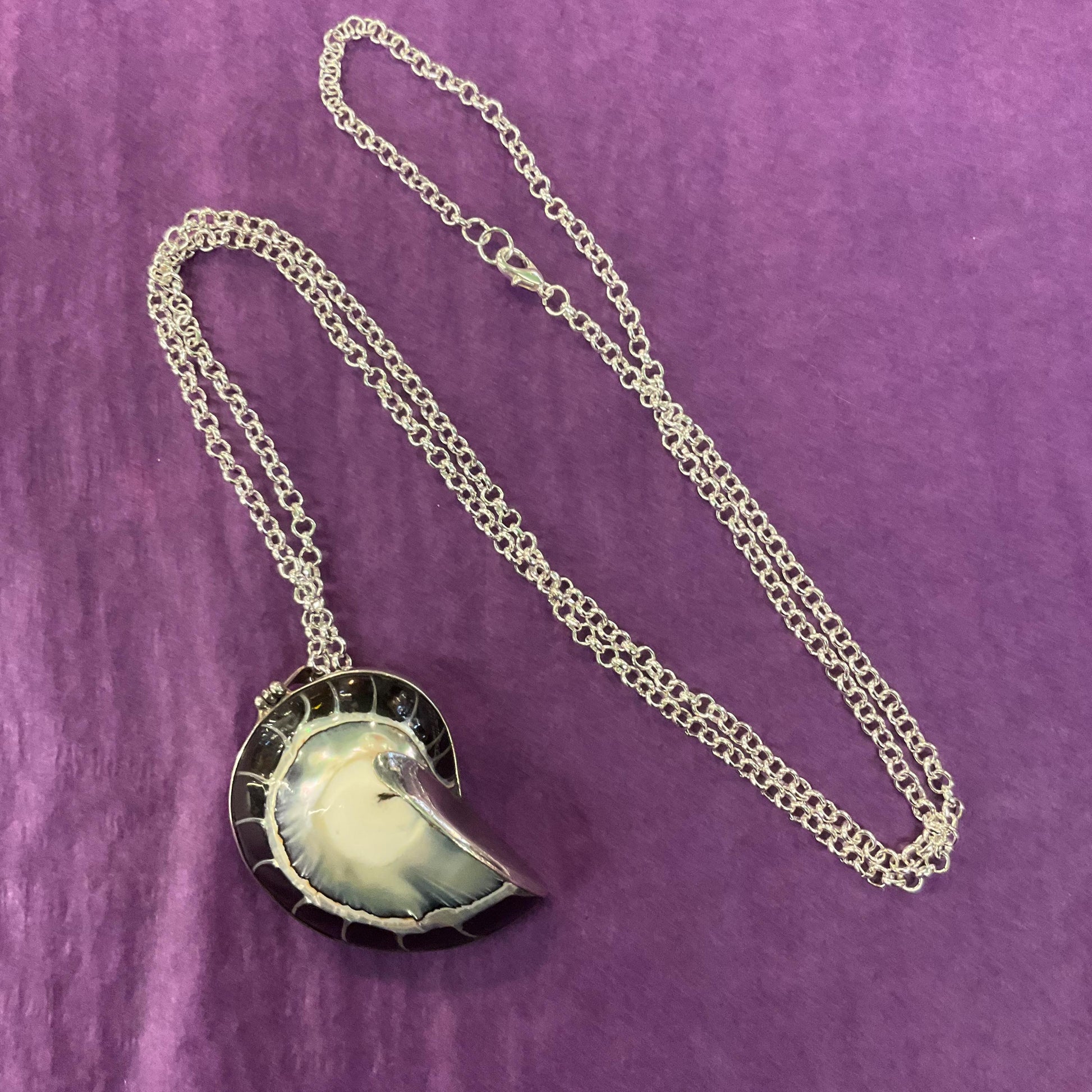 Vintage Large Silver and Shell Fossil Pendant, 925 silver with monochrome mother of pearl shell on a long silver plated chain