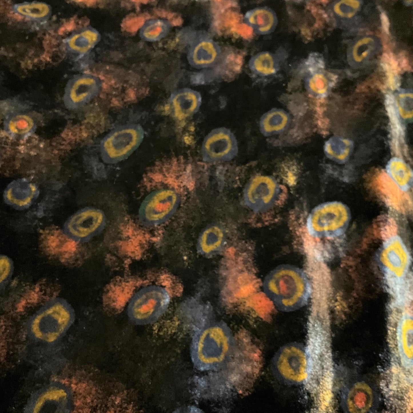 Vintage Liberty Large Silk Velvet Rectangular Shawl/ Evening Wrap, Double Sided with Peacock Feathers and Florals