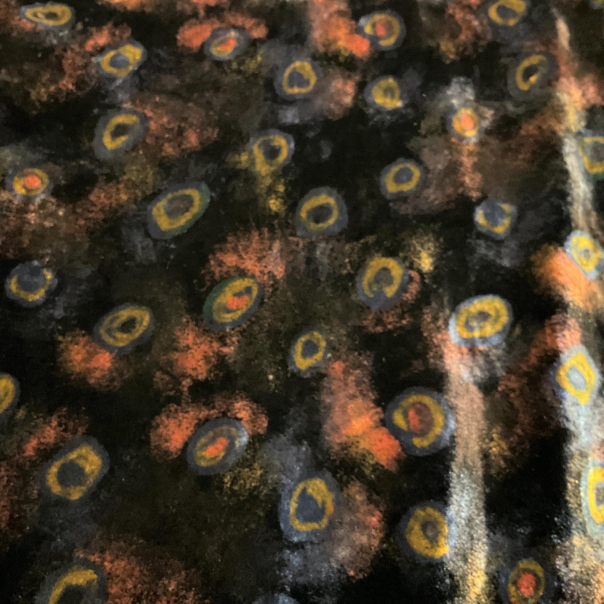 Vintage Liberty Large Silk Velvet Rectangular Shawl/ Evening Wrap, Double Sided with Peacock Feathers and Florals